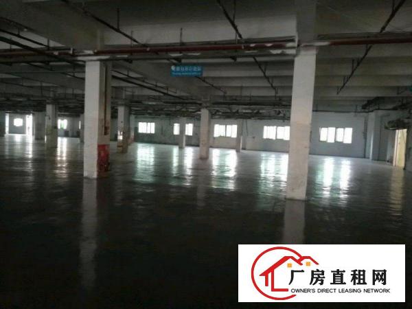  全新厂房，是老板们发财地，需要的看过韦