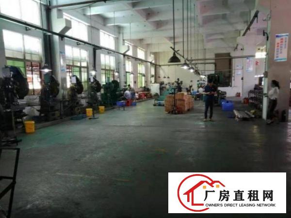  沙角工业区1楼厂房800平，6米高，拎包入住