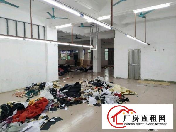  镇口个人一手房东楼上电梯厂房出租