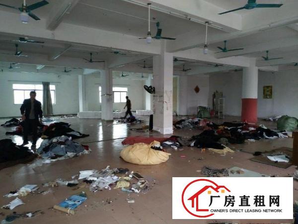  镇口个人一手房东楼上电梯厂房出租