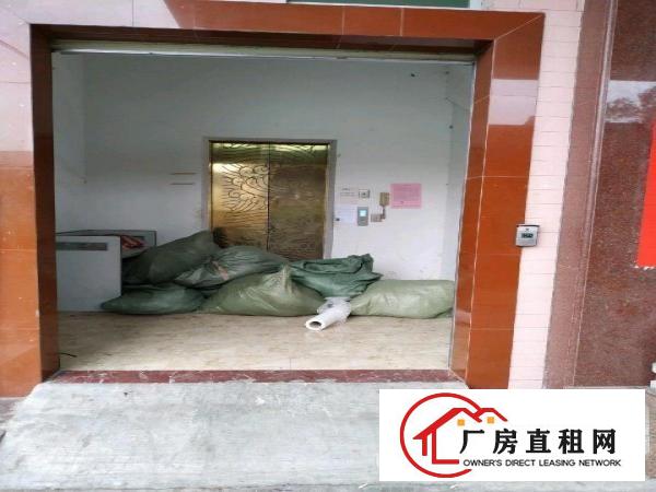  镇口个人一手房东楼上电梯厂房出租