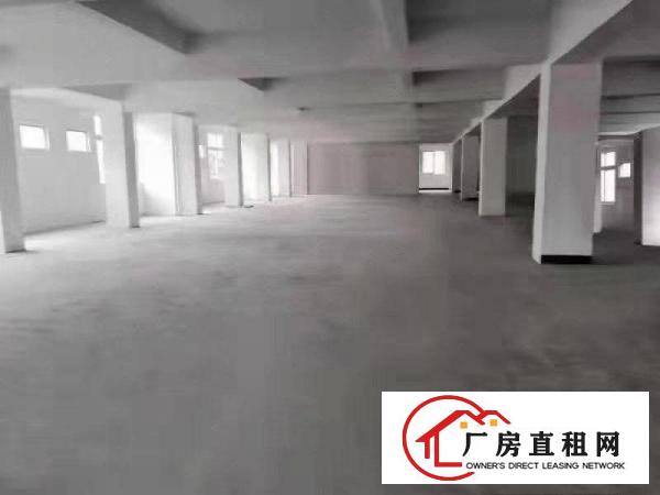  虎门北栅全新厂房出租单层面积3000可分租