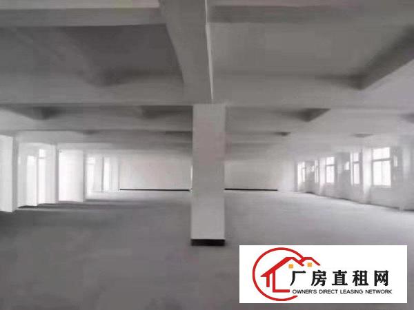  虎门北栅全新厂房出租单层面积3000可分租