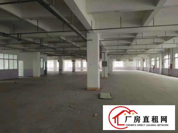  虎门北栅全新厂房出租单层面积3000可分租