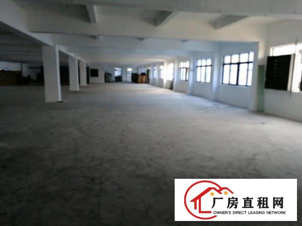  虎门白沙大路北九号自有物业
