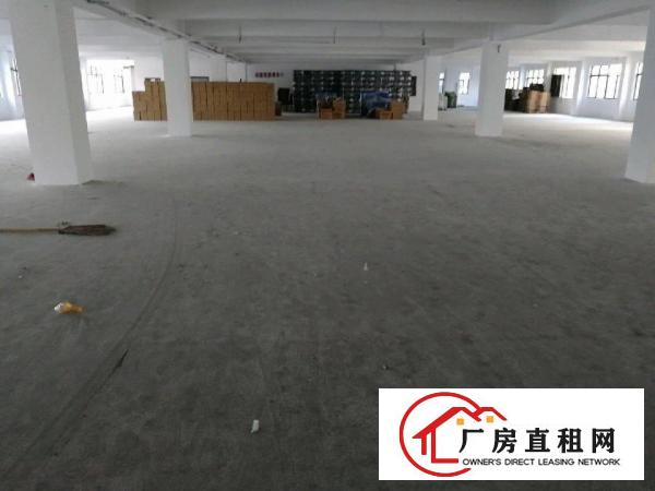  虎门白沙大路北九号自有物业