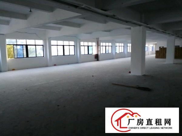  虎门白沙大路北九号自有物业