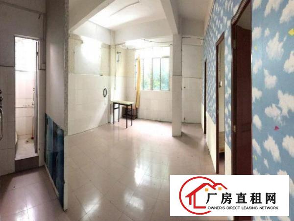  北柵西坊大道45号，小型厂房