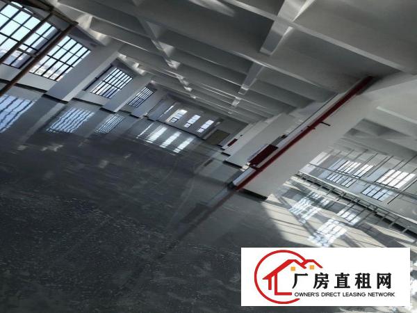  虎门全新标准厂房出租，交通方便，招工容易