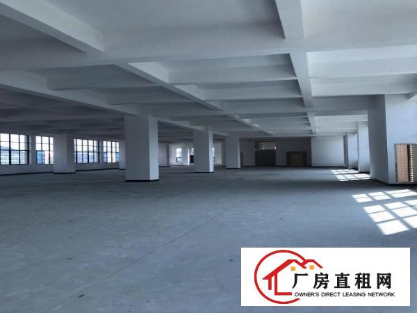 虎门全新标准厂房出租，交通方便，招工容易