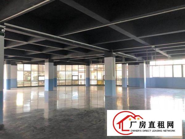 靠近服装市场，电商优选