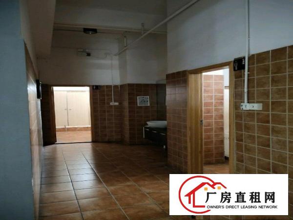 博头附近大面积厂房出租租金便宜