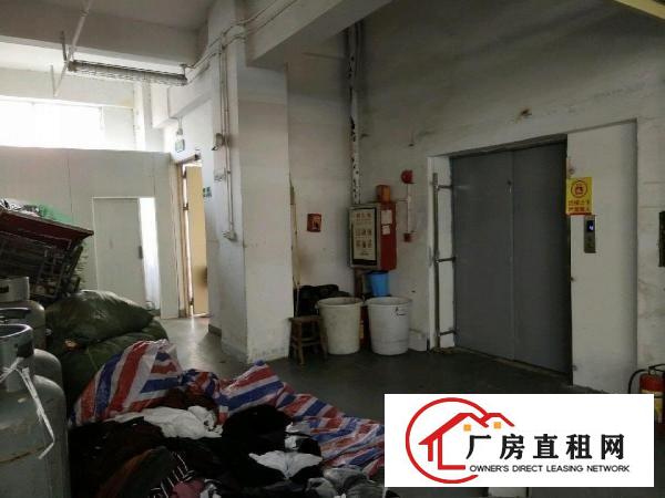  博头附近大面积厂房出租租金便宜
