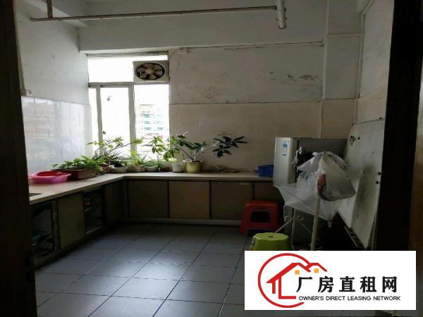  博头附近大面积厂房出租租金便宜