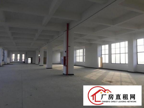  全新厂房有优势出租，现成水磨石地板，现成洗手间。无需大装修。