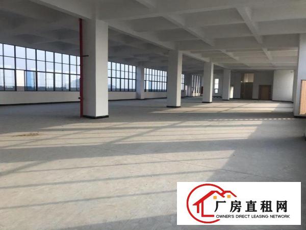  全新厂房有优势出租，现成水磨石地板，现成洗手间。无需大装修。