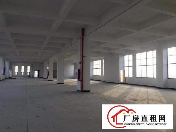  全新厂房有优势出租，现成水磨石地板，现成洗手间。无需大装修。