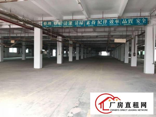  虎门镇新出国有证红本独院，可办环评10000平米厂房出租