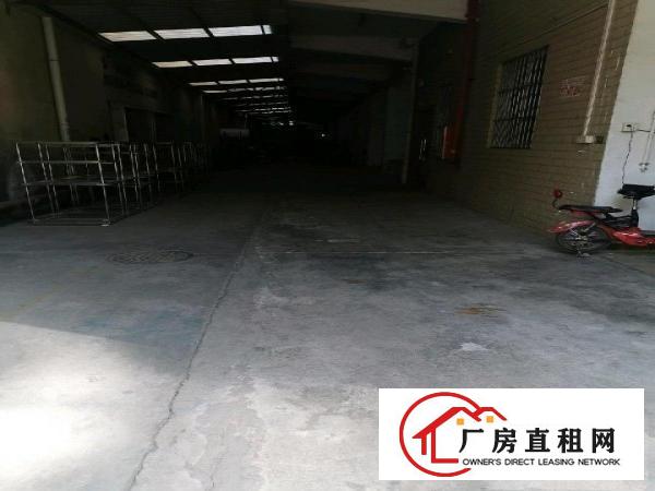  虎门北栅独门独院厂房出租