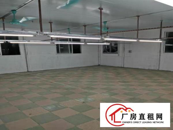  虎门镇博涌社区博头新区35号