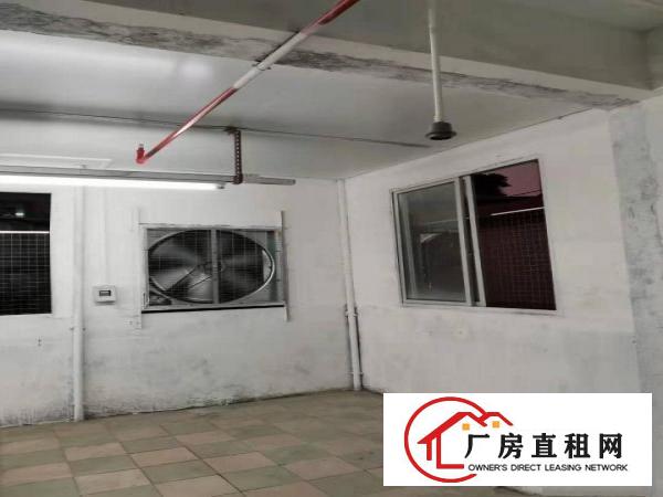  虎门镇博涌社区博头新区35号