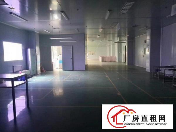  东莞虎门新出小独院6800平带独立办公楼，宿舍1500