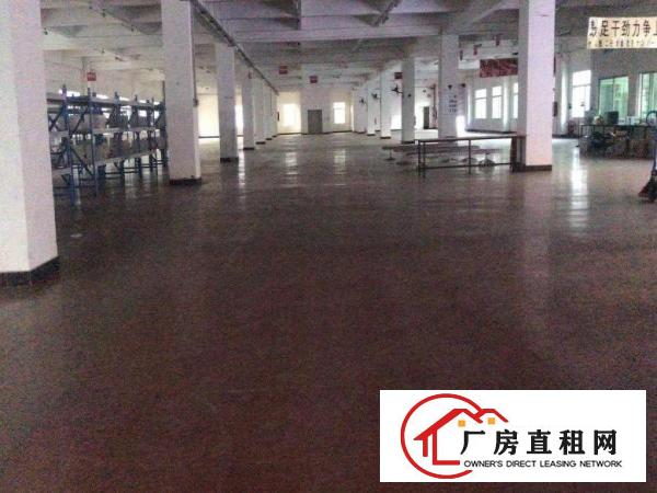  虎门新出独院厂房12000平米，宿舍2000，办公1000