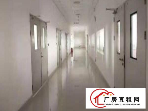  东莞市虎门镇全新万级无尘车间7500平方带红本