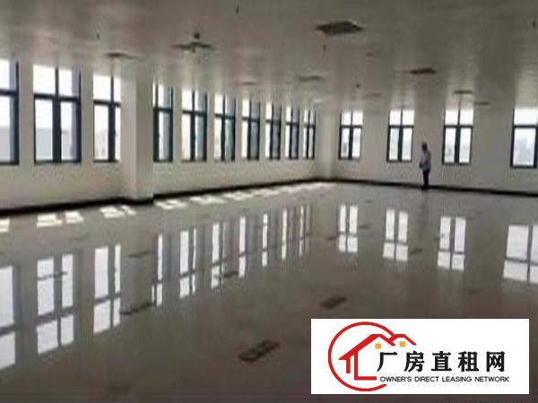  东莞市虎门镇全新万级无尘车间7500平方带红本
