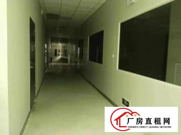  东莞市虎门镇全新万级无尘车间7500平方带红本