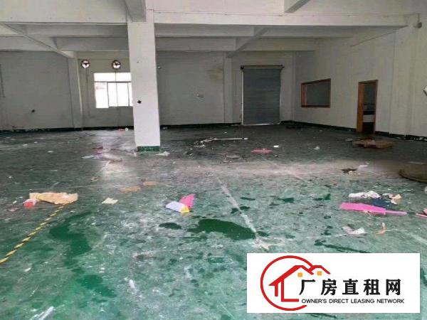  虎门南栅精品独门独院小独院1600平米