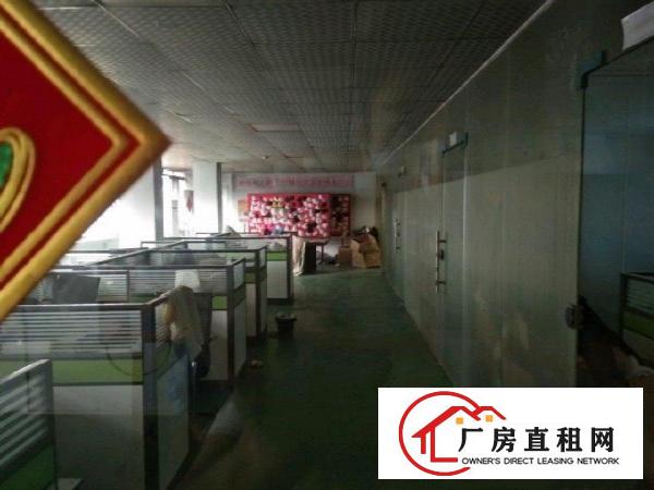 虎门南栅精品独门独院小独院1600平米