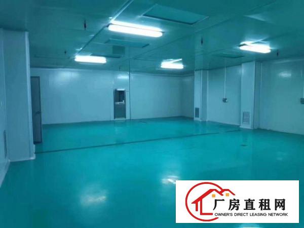  虎门上一秒新出楼上精装修1000平米