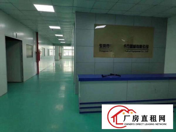  虎门上一秒新出楼上精装修1000平米