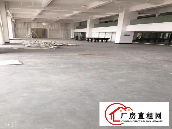  虎门新出一楼贸易厂房出租