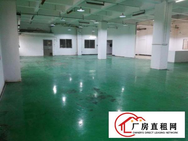  虎门龙眼工业区一楼厂房（带办公室1间）单层出租急