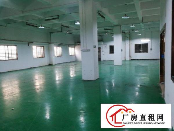  虎门龙眼工业区一楼厂房（带办公室1间）单层出租急