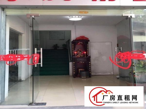  出租虎门镇超便宜合算厂房