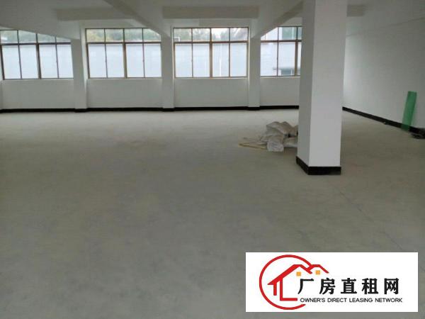  虎门镇南栅四区文明路