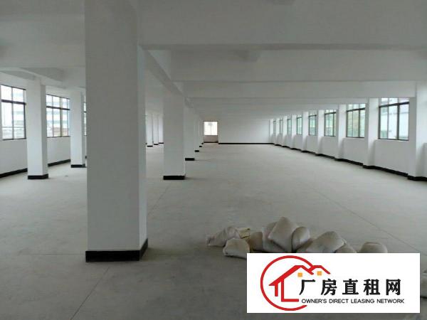  虎门镇南栅四区文明路