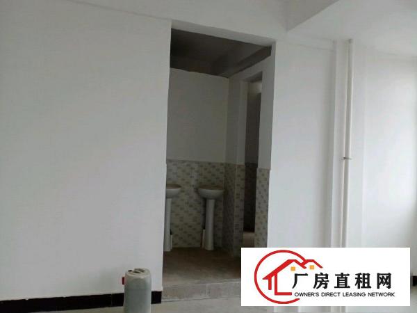  虎门镇南栅四区文明路