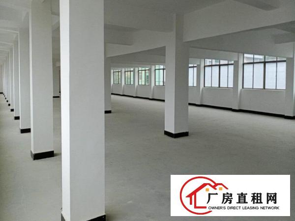  虎门镇南栅四区文明路