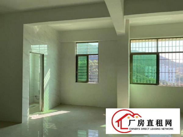  南栅宴岗旧村新建厂房