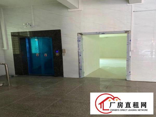  南栅宴岗旧村新建厂房