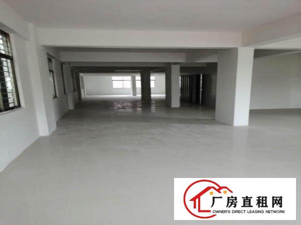  南栅宴岗旧村新建厂房