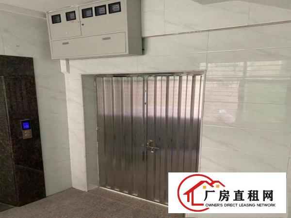  南栅宴岗旧村新建厂房