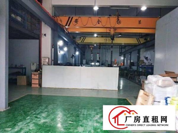  金洲工业区1楼500平厂房，6米高带行车装修水电