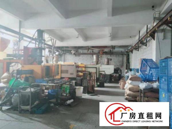  虎门北栅新出原房东一楼980平厂房出租带行车办公室