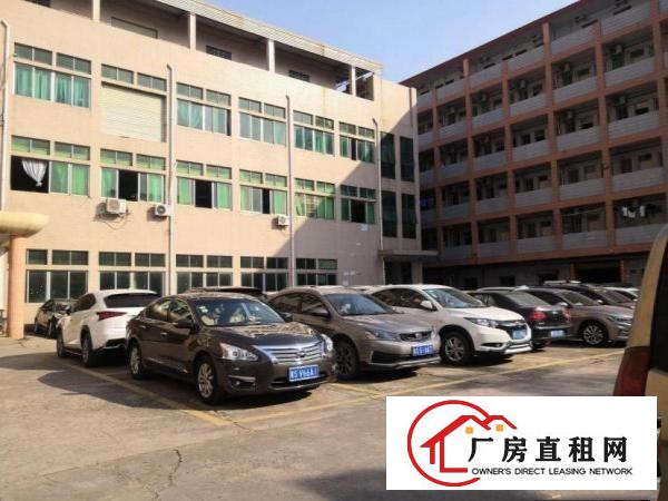  大宁工业区一楼1300厂房招租水电齐全豪华装修