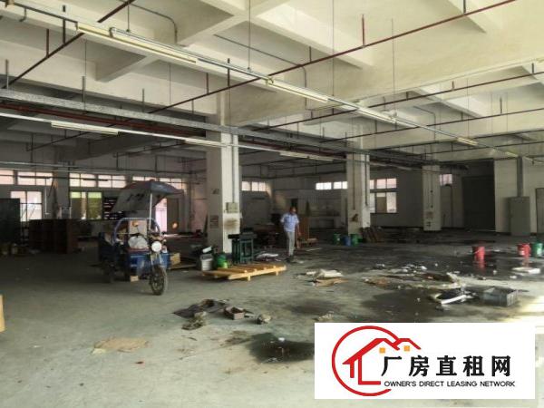  大宁工业区一楼1300厂房招租水电齐全豪华装修